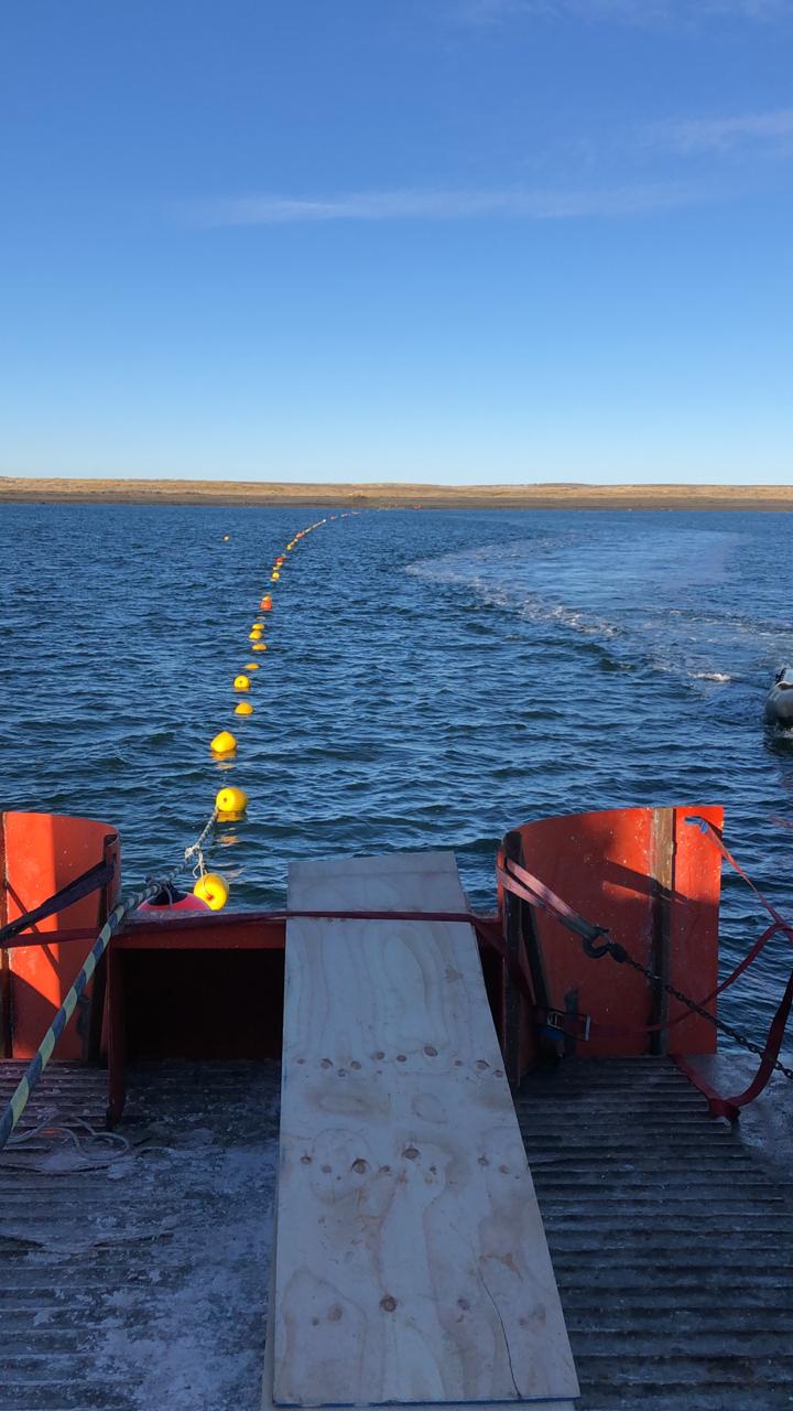 FOA Conductividad Austral