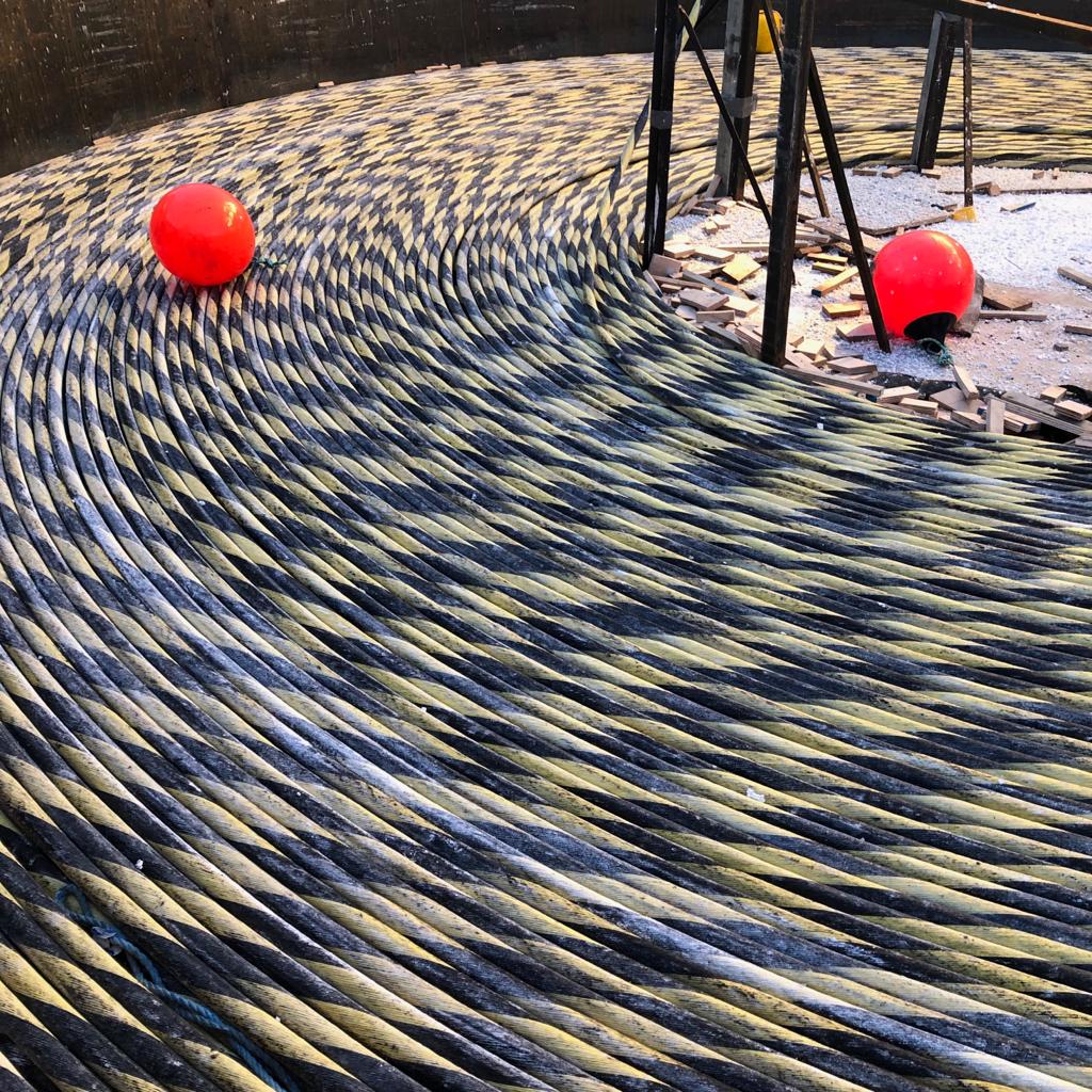 FOA Conductividad Austral