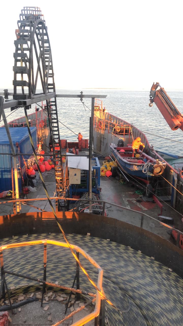 FOA Conductividad Austral